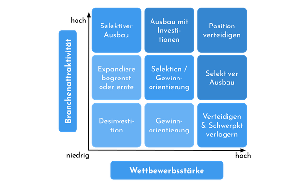 McKinsey-Portfolio